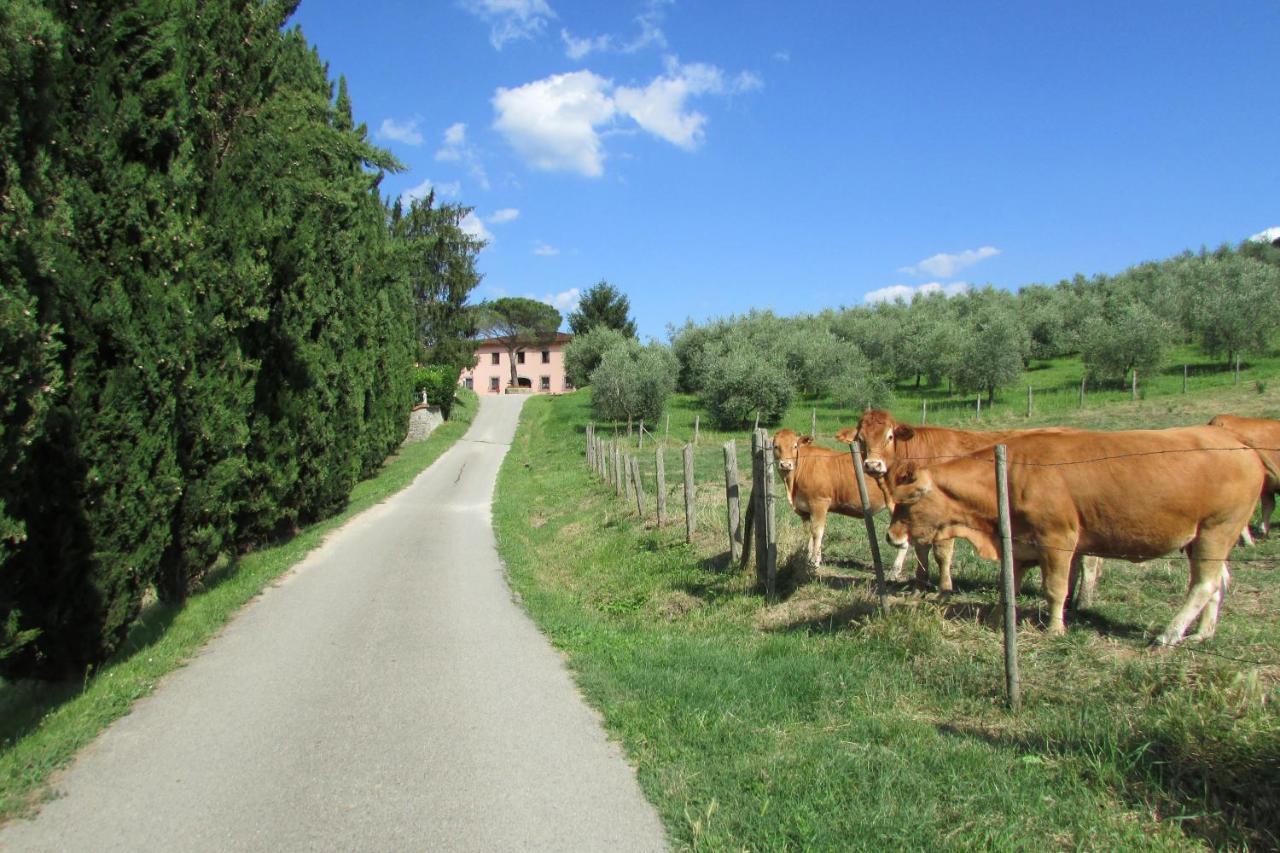 Trebbiolo Dicomano Exterior foto