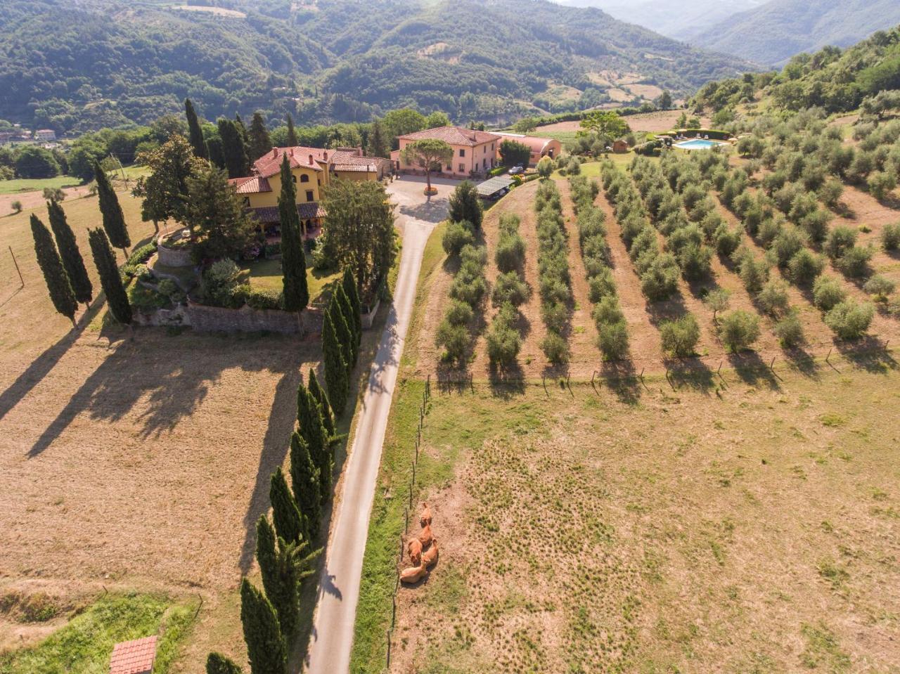 Trebbiolo Dicomano Exterior foto